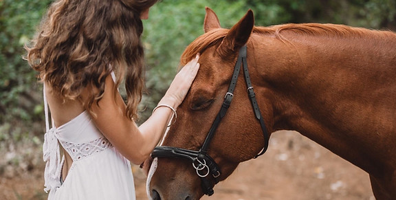 Confiance retrouvée après une chute à cheval grâce aux thérapies énergétiques et au Reiki de Sophie Lumia en Brabant Wallon