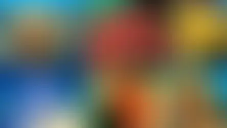 Süngerler: Denizlerin Temizleyicileri