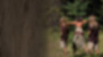 WildernessSchool_Header.jpg
