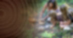 WildernessSchool_Header.jpg