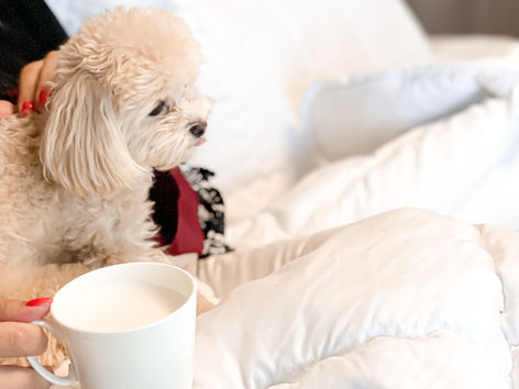 Готуємось до прохолодних вечорів. Рекомендації щодо вибору теплої ковдри