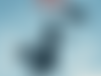 A Jolly Holiday with CWSE Students!