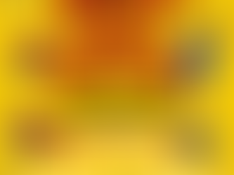 Getting Ready for the CWS Holiday Toy Drive