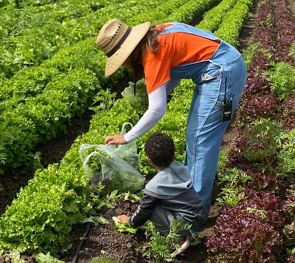A farm worker in a wide-brim hat and orange shirt kneels in a vegetable row, helping a young child gather leafy greens into a clear plastic bag.
