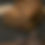 Thumbnail: DARK BANANA JOE
