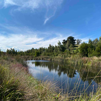 Neerim South