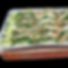 Street Taco Box  image