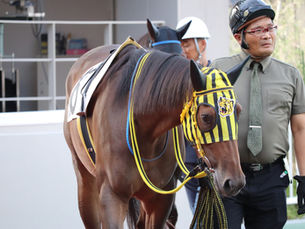 【レース結果】ジオパークコハク、8/28船橋競馬で激走！