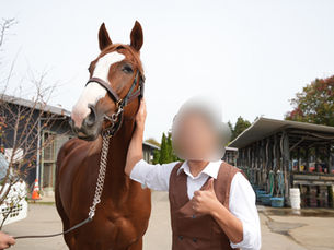 【近況報告】アレグランサの休日