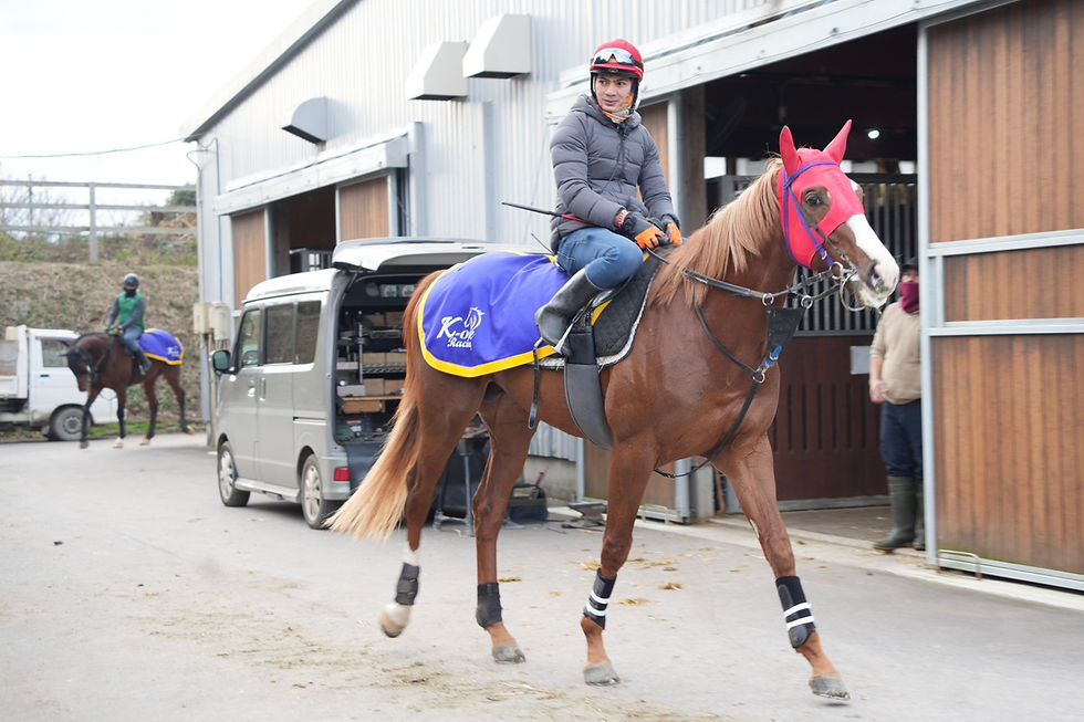 +16kgにボリュームUP!!