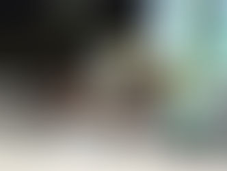 【レース結果】デルマネコダマシ、鮮やかな逃げ切り勝ち!2馬身差の完勝