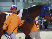 【レース結果】シジミノヒナコ、確実な成長示す4着！春まで「修行」の放牧へ