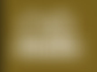 【近況報告】アレグランサのその後|調教再開とイスラボニータ魂の継承