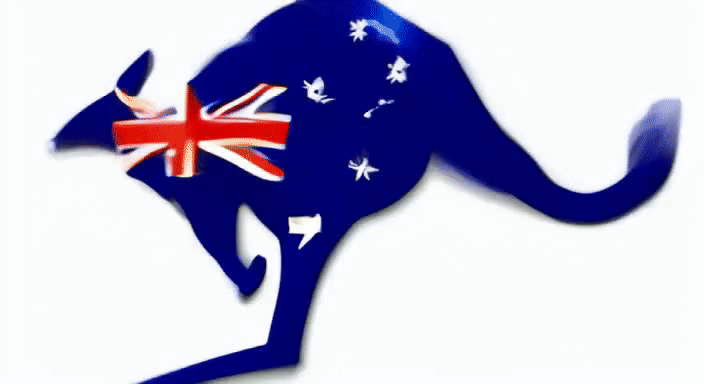 Kangaroo bounce giff.gif