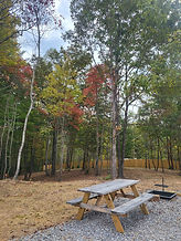 picnic table1.jpg