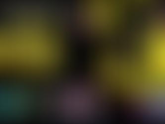 Orleans Chic Transigense theme