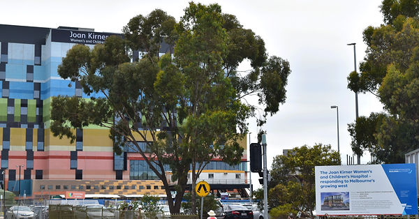 Joan Kirner View.jpeg