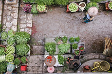 Wednesday Market