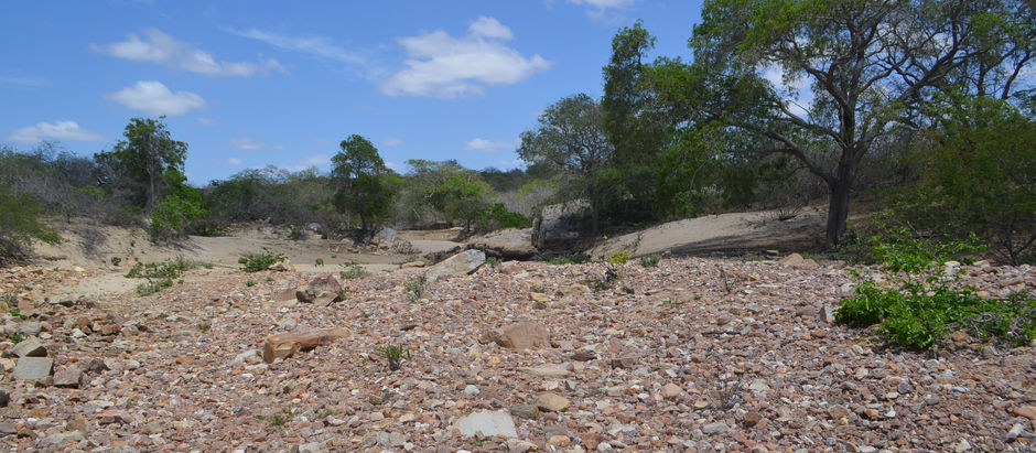 Praia deserta