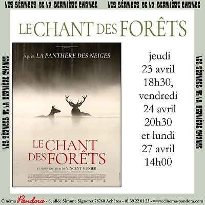 sem 4 Chant des Forets.jpg