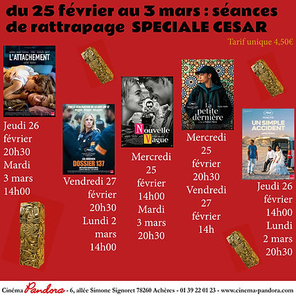 Insta sem 1 César.jpg