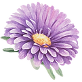 Illustratie van een paarse tuinplant bloem, symbool voor Kwekerij van den Brink