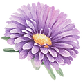 Flor roxa