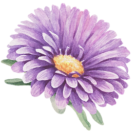 Purple Flower