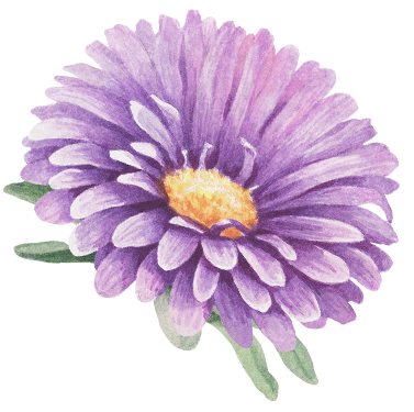 Purple Flower