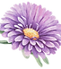 Lila Blume