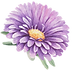 Flor Purpura