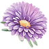 Purple Flower