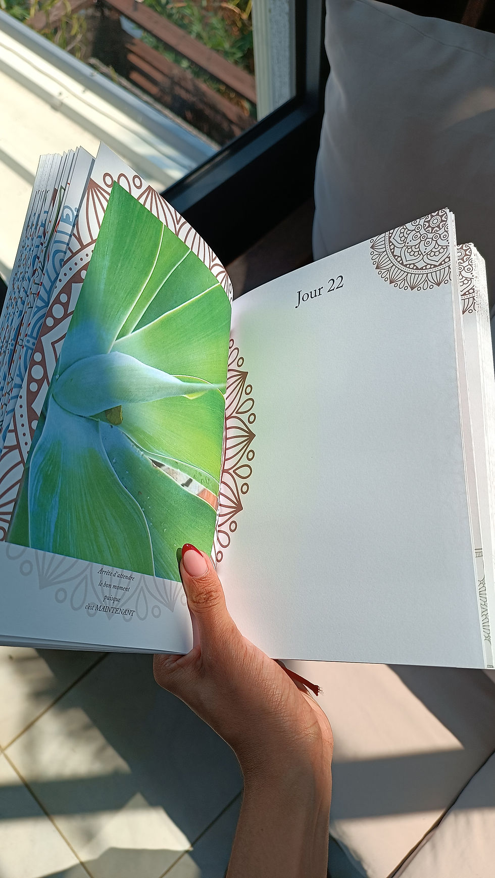 Le Livre d'écriture CARPE DIEM | Carpe Diem by Kika B. www.carpediem-kb.com