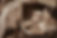 DSC01763.jpg