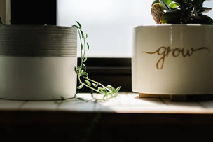 Maximizing Business Growth with PowerBI: Harnessing the Power of Data Analytics