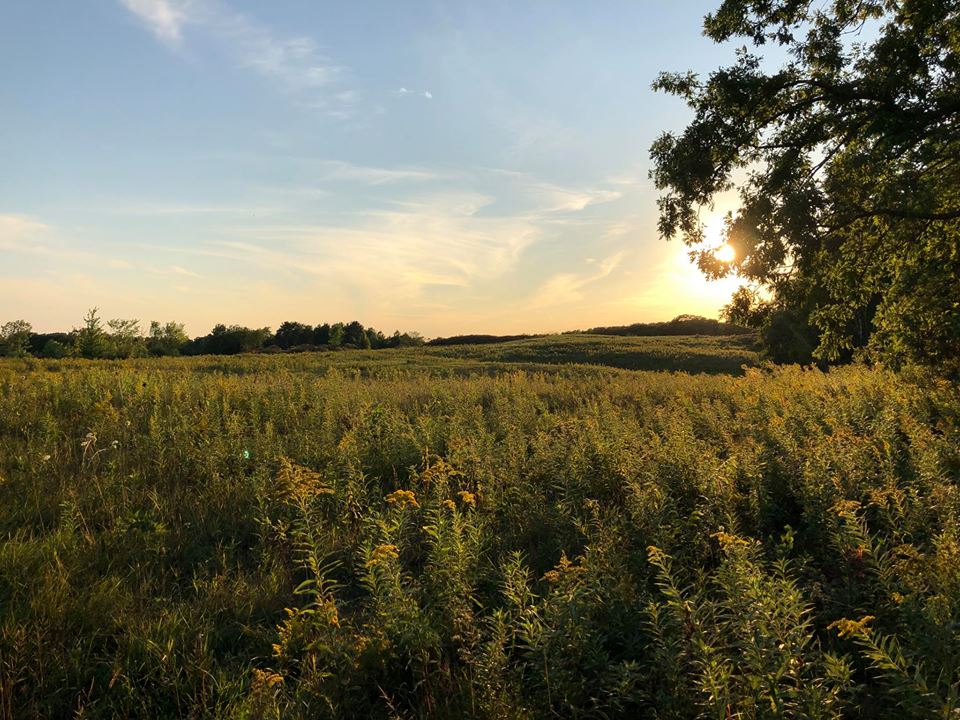 Home Big Rock Creek WI