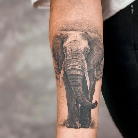 🐘