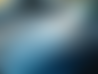 Paint Protection Comparison: Paint Protection Film vs. Ceramic Coating