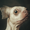 Thumbnail: Dog Fish 13