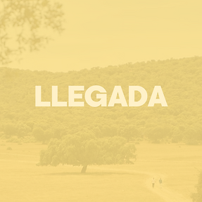 WIX EVENTOS (33).png