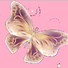 papillon 3.PNG