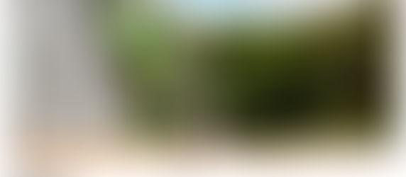 Miércoles 10/5-19 hs.