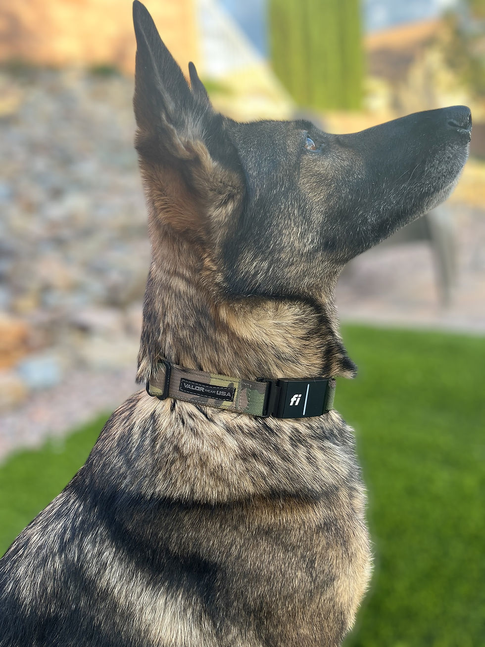 Fi Series 3/3+ In-line 1"Inch Bobcat Collar