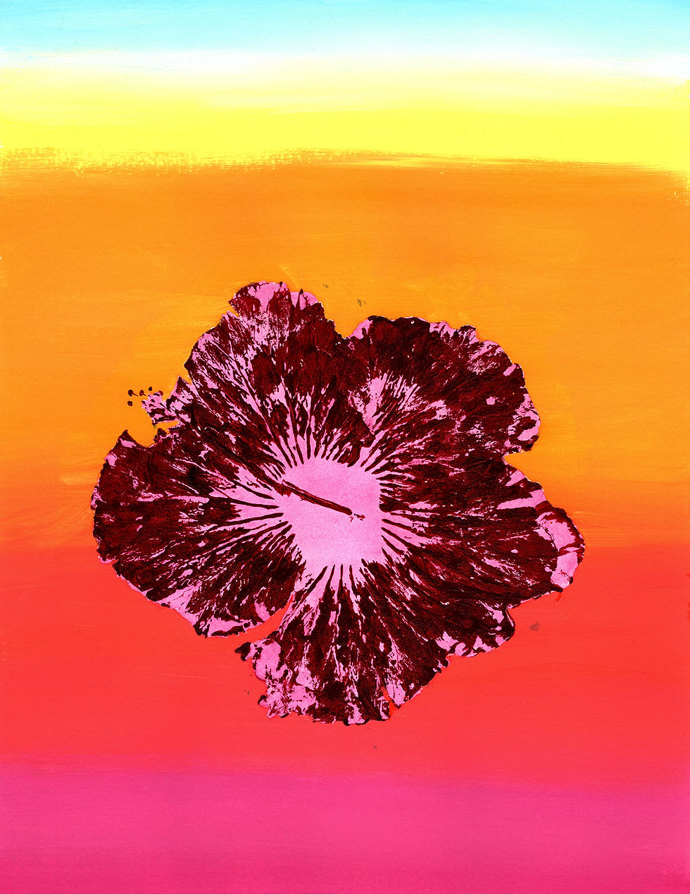 Dawn Hibiscus