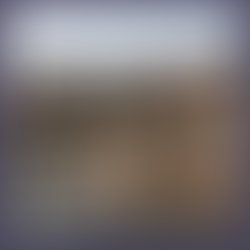 The Lord Leycester: The Life, Times and Scandals of the Hospital and Its Residents