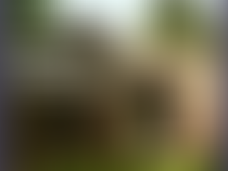 Kenilworth Abbey: From Prosperity to Ruin