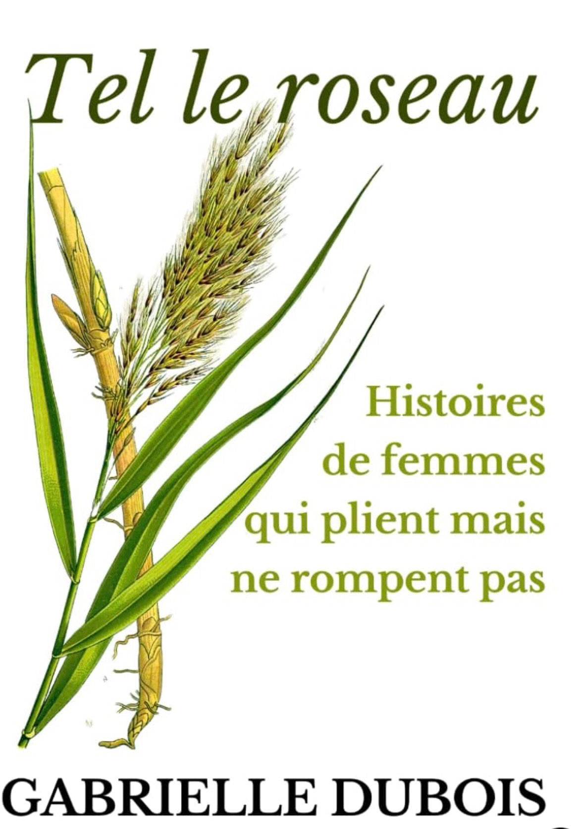 Tel le roseau (Recueil d'histoires) - Gabrielle Dubois