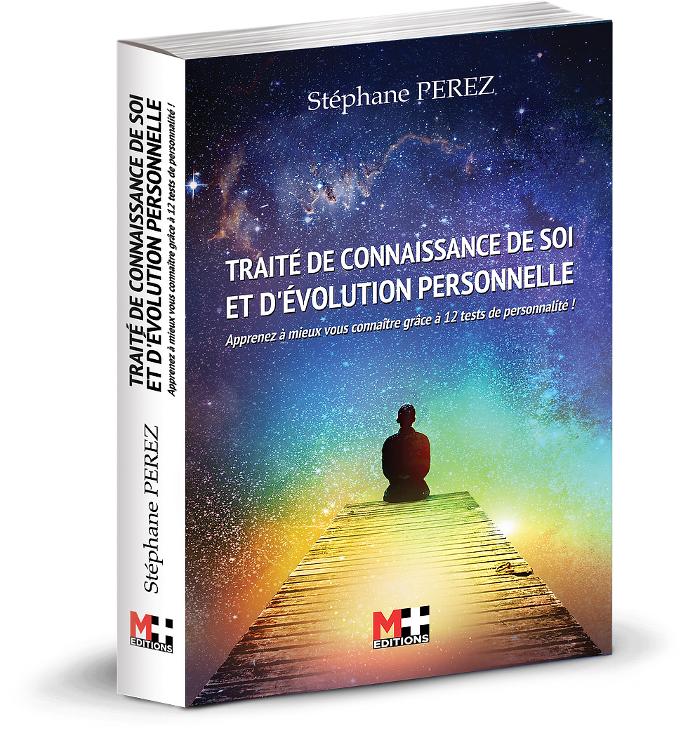 Miniature : QUE FAIRE DE SOI - STÉPHANE PEREZ