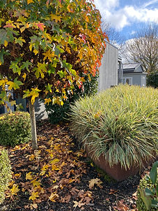 Otorohanga Medical Centre - Autumn 2023