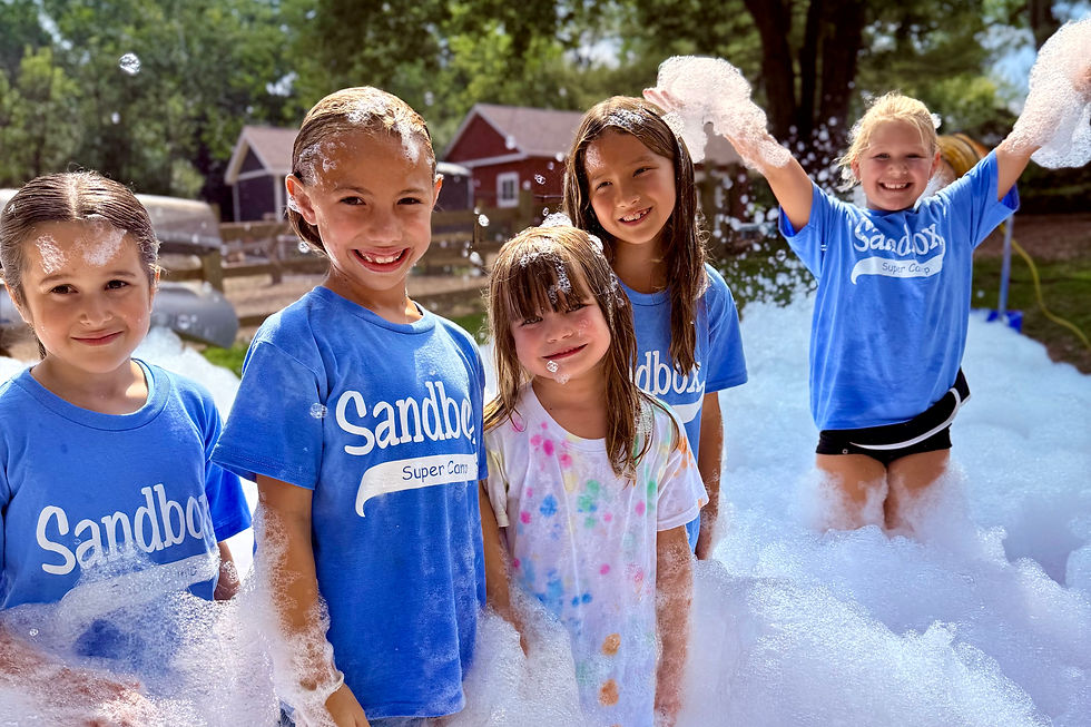 Buzz Around The Barnyard